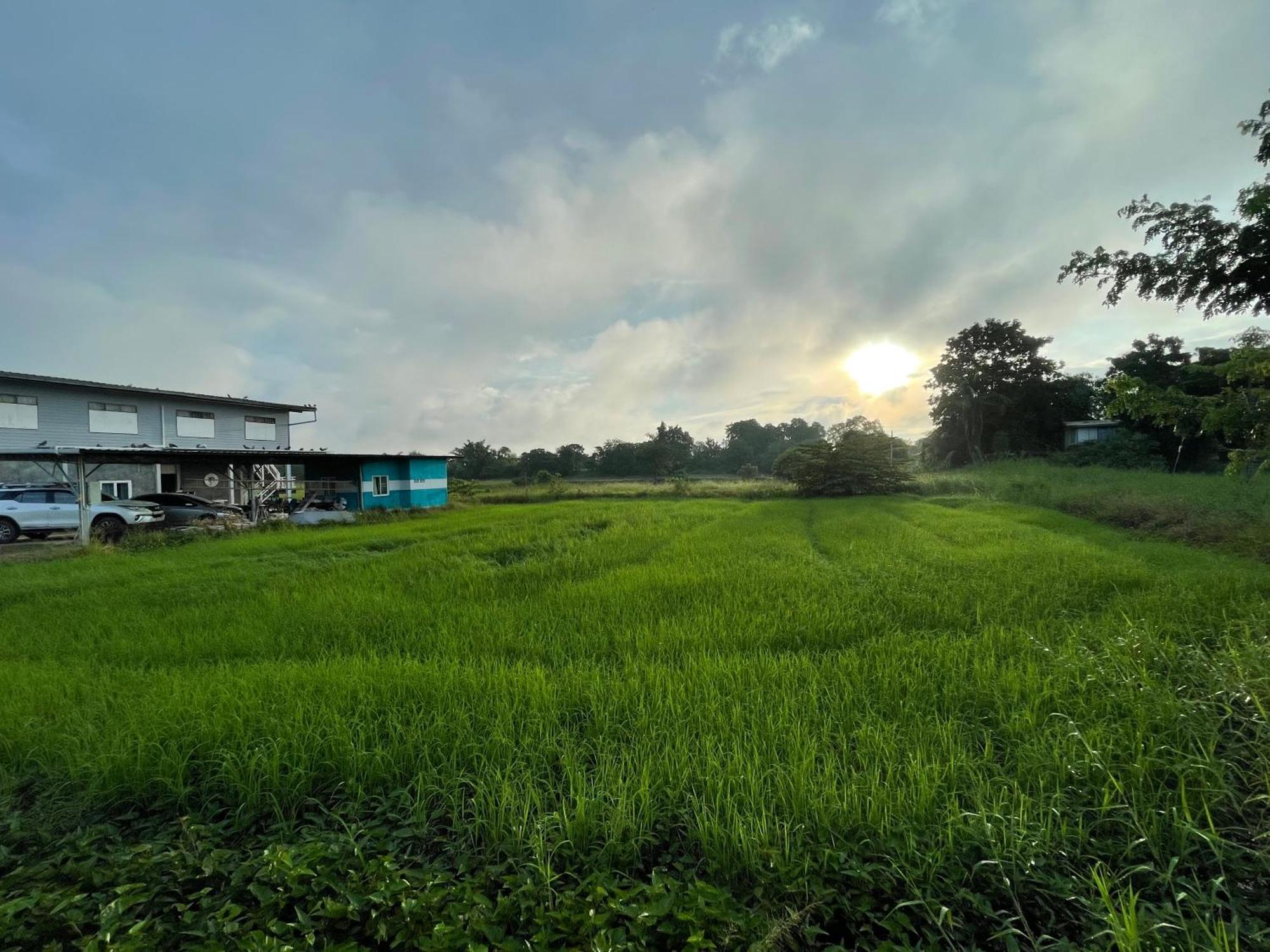 Srihome ยายศรีโฮมแอนแคมป์ปิ้ง Ban Don Tum Ngoại thất bức ảnh